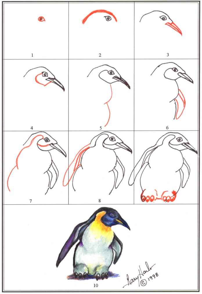 Gary Harbo - How to Draw a Cartoon Character